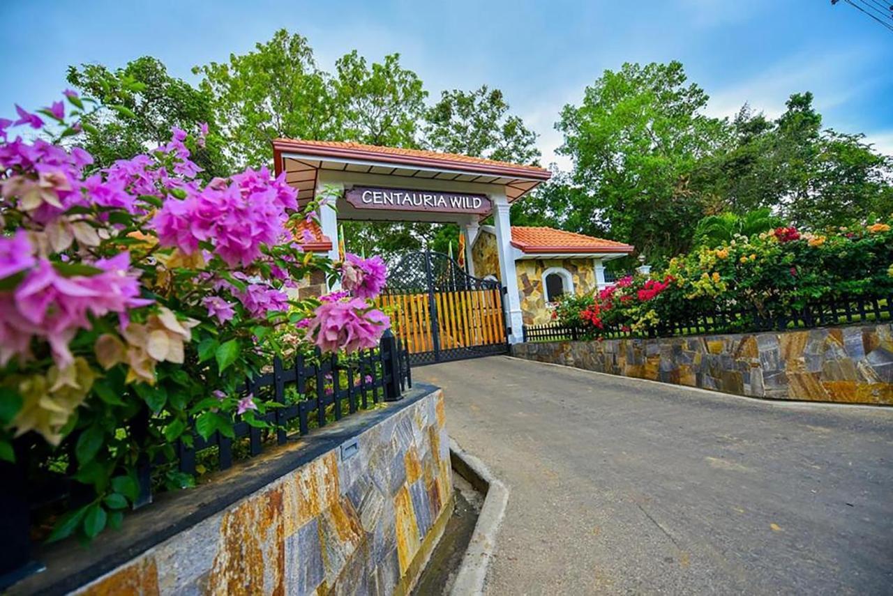 Centauria Wild Hotell Udawalawe Exteriör bild