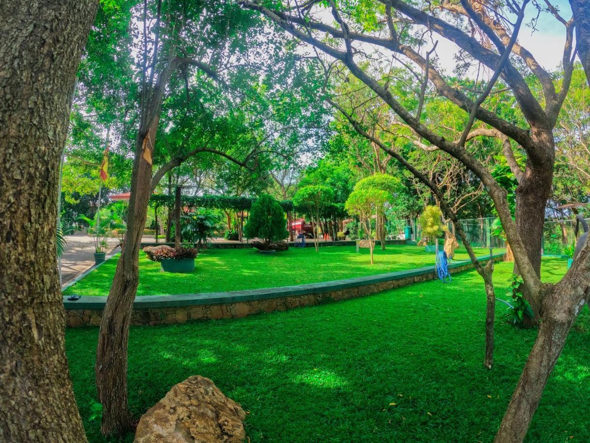 Centauria Wild Hotell Udawalawe Exteriör bild