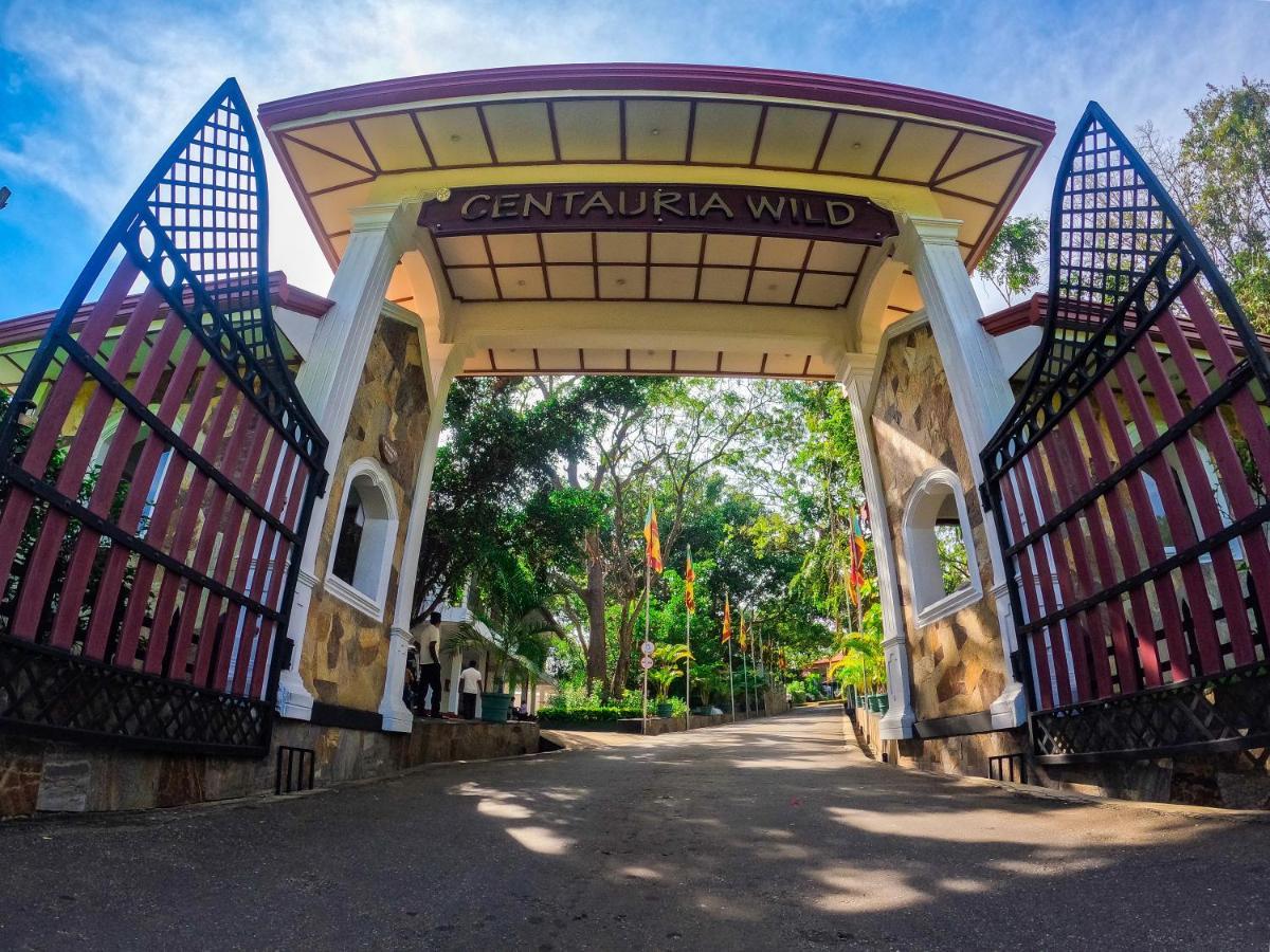 Centauria Wild Hotell Udawalawe Exteriör bild